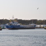 DSC_0091 (2)