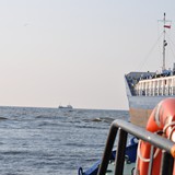 DSC_0102 (2)