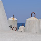 DSC_0105