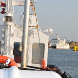 DSC_0110 (2)