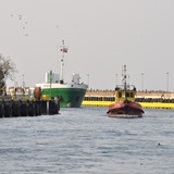 DSC_0116 (2)